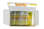 Green Tea Ginger - Case of 6  Boxes